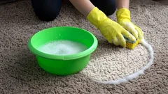 Der Teppich sieht wieder wie neu aus: 6 der häufigsten und hartnäckigsten Flecken, die man clever entfernen sollte